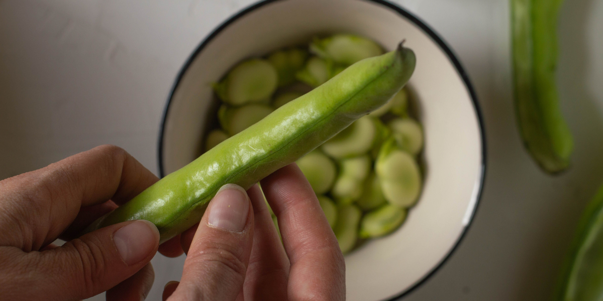 Broad bean pod